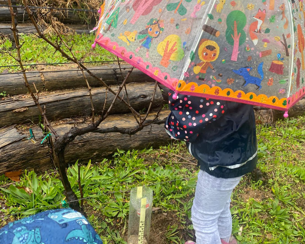 The-Little-Farm-School-Term3-Week-4-6