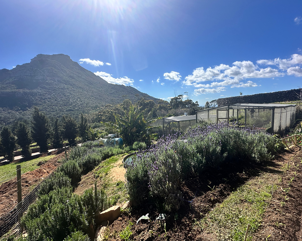 Life-at-Silvermist-Academy-8